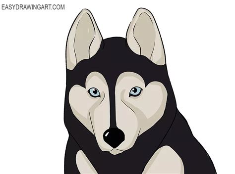 How To Draw A Husky Face Easy Drawing Art