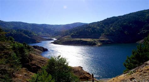 Parco Nazionale Daspromonte Ecosistema Flora E Fauna