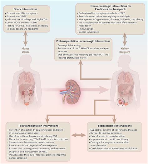 Terminal Chronic Kidney Disease at Cameron Silcock blog