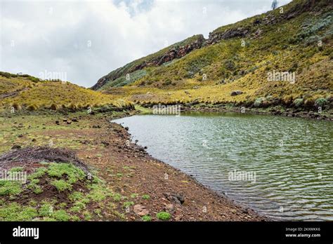 Scenic View Of Lake Ellis On Chogoria Route Mount Kenya National Park