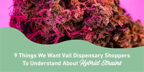 9 Interesting Facts About Hybrid Strains Hch Vail