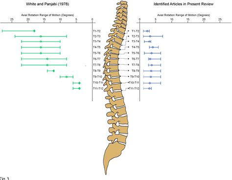 Figure 3 From Challenging The Conventional Standard For Thoracic Spine