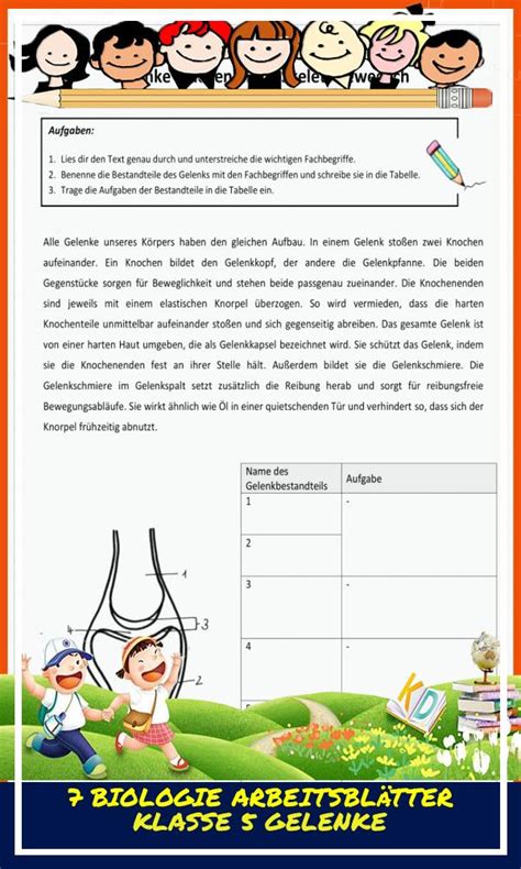 Biologie Arbeitsbl Tter Klasse Gelenke Biologie Arbeitsbl Tter