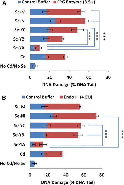 Se Sources Moderate Oxidised Damage To Dna Bases The Enzymes Fpg A Download Scientific