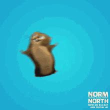 Animated Narwhal GIFs | Tenor