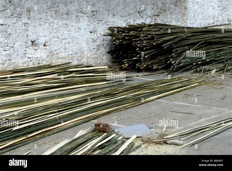 Bamboo Stems And Split Strips Ready For Weaving Into Mats Stock Photo