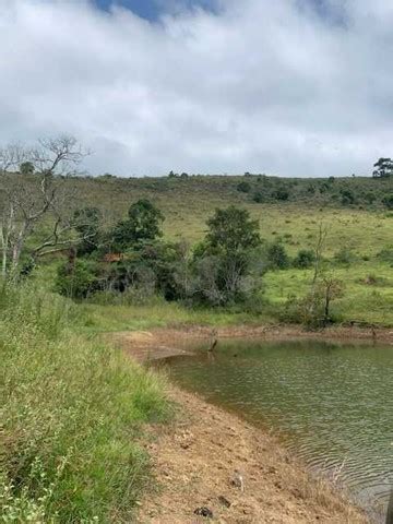 Sítio À VENDA Dores do Paraibuna Santos Dumont MG Terrenos sítios e