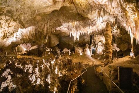 Carlsbad Caverns Big Room - Earth Trekkers