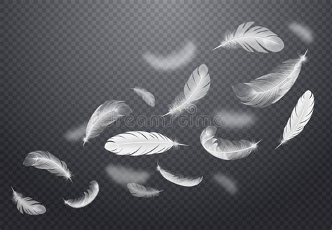 White Falling Feathers Transparent Set Stock Vector Illustration Of