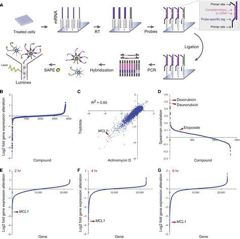 Chemical Genomics Identifies Small Molecule Mcl1 Repressors And Bcl Xl As A Predictor Of Mcl1