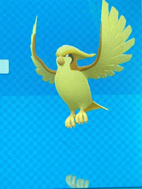 Hybrid_collector — Meet my shiny Pidgeot, got him in Pokémon GO if...