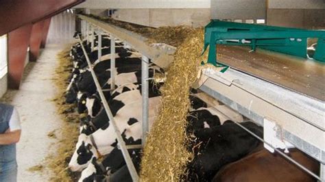 Gea Automated Feeding Advanced Dairy Systems