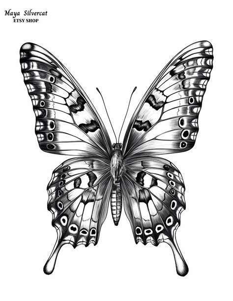 Beautiful Butterfly Free Grayscale Coloring Page For Adults