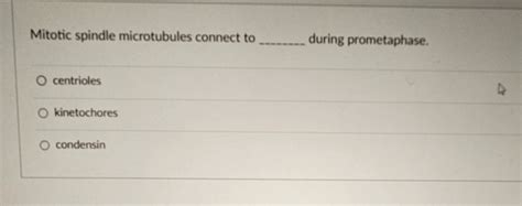 Solved Mitotic spindle microtubules connect to q, ﻿during | Chegg.com