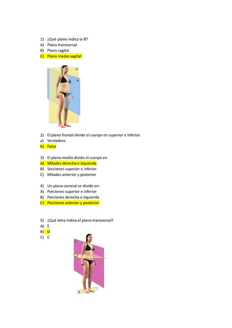 Preguntas sobre los planos anatomicos - ¿Qué plano indica la B? A ...