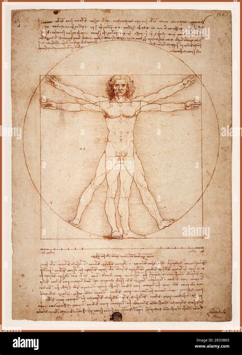 Vitruvian Man 1492 Gallerie Dell Accademia Venice Pen Ink