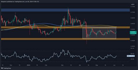 XRP Approaching Critical Decision Point At 0 53 Massive Rally Or A