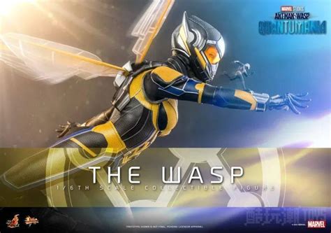 Hot Toys The Wasp Chao