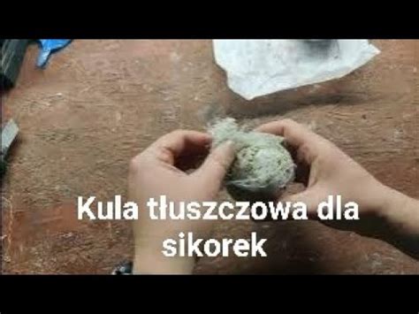 Kula tłuszczowa dla sikorek Jak zrobić najprostszą kulę tłuszczową