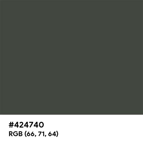 Black Forest Green color hex code is #424740