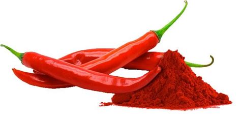 Make Your Own Hot Sauce Labels Bottle Your Brand