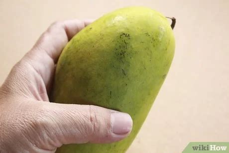 How To Pick A Ripe Mango Clearance Emergencydentistry