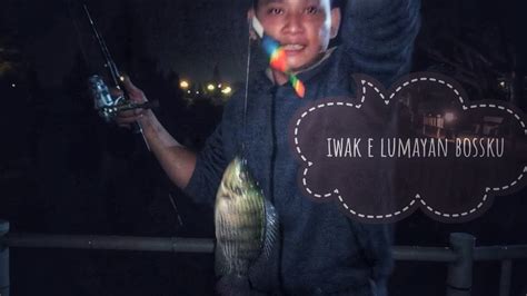 Mancing Ikan Nila Di Malam Hari Youtube