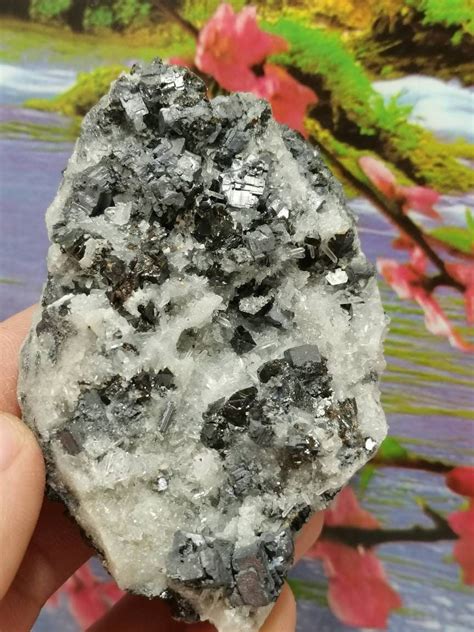 Quartz With Sphalerite And Galena From Bulgaria Gold Minerals