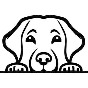 Labrador spähende Hunde svg png geschnitten Dateien Hund svg png