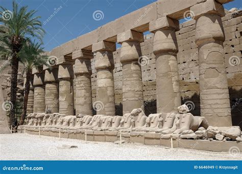 Ancient Egyptian Pillars Stock Image Image Of Historic 6646949