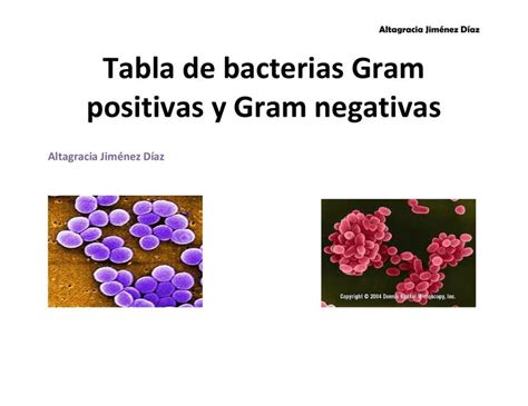 Res Menes De Tabla De Bacterias Descarga Apuntes De Tabla De Bacterias