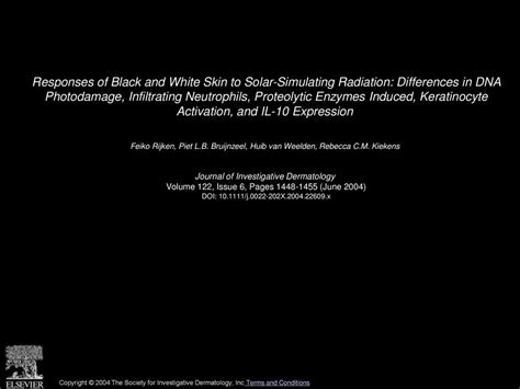 Responses Of Black And White Skin To Solar Simulating Radiation