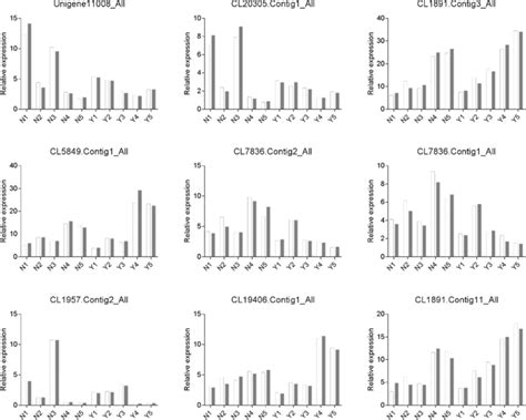 Quantitative Real Time Pcr Qrt Pcr Validation Of Nine Degs White And