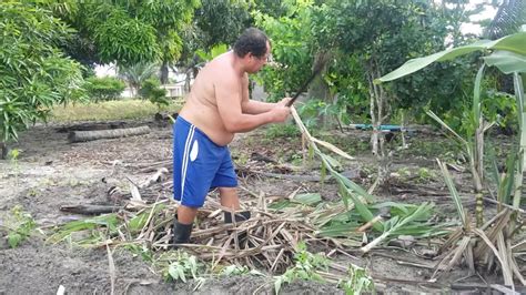 Cortando Cana E Plantando Youtube