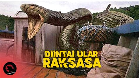 Ada Ular Segede Ini Dihutan Kalimantan Alur Cerita Film Anaconda