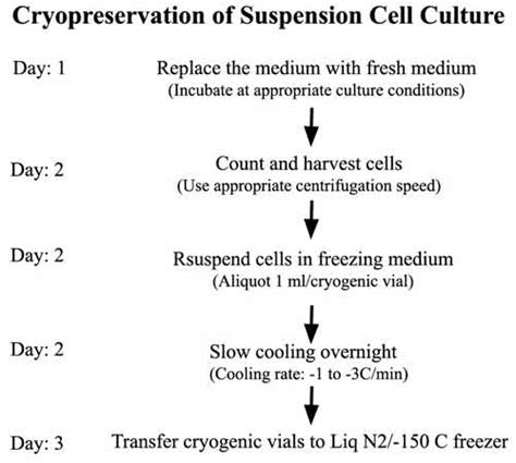 Protocol Cryopreservation Of Suspension Cell Culture Laboratory Notes