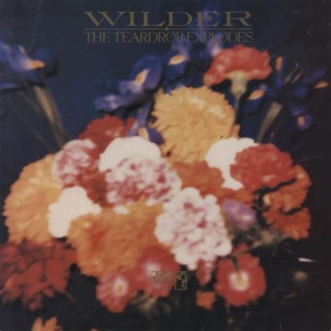 The Teardrop Explodes Wilder Ex Uk Vinyl Lp Album Lp Record