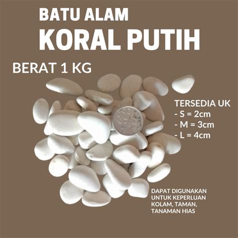 Jual Batu Koral Putih Kg Batu Alam Batu Taman Batu Tanaman Hias Batu