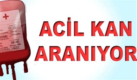 Ac L Kan Araniyor Sa Lik Niksar Dani Mend Gazetesi