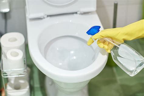 Detailed Cleaning Toiletten Reinigen Uringeruch Entfernen Richtig