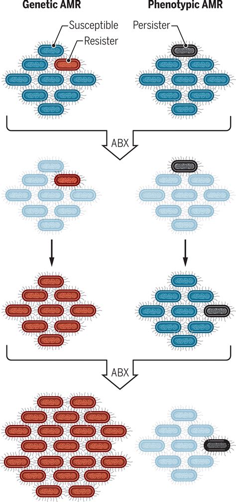 Biology Of Antimicrobial Resistance And Approaches To Combat It