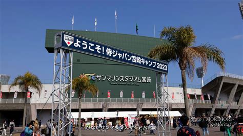 侍ジャパン 宮崎キャンプ2023 整理券忘れ 河津桜満開 宮崎牛のふるまい 日々ブログ Morimori ＠宮崎県