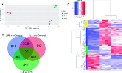 LPS And IL 1b Induced Genome Wide Shifts In Gene Expression In RNAseq