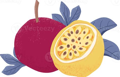 Pasión Fruta Elementos 46434830 Png