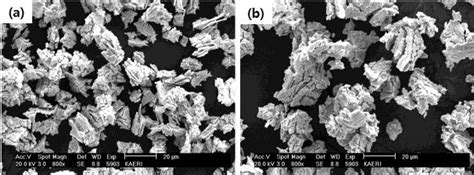 SEM Powder Morphologies Of Recycled U 3 O 8 Powders Obtained By