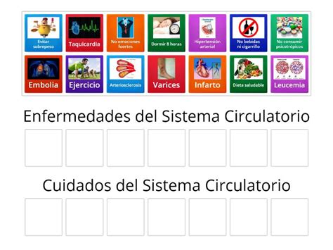 Enfermedades Y Cuidados Del Sistema Circulatorio Group Sort