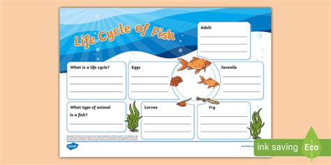 Life Cycle Of Fish Fact File Template Profesor Hizo