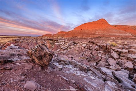 Petrified Badlands Petrified Forest National Park Arizona Nathan