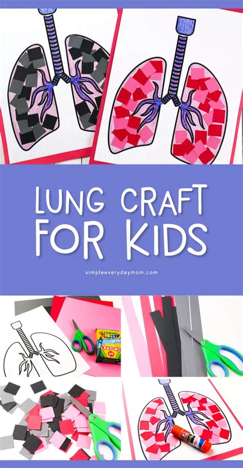 Simple Lung Craft For Preschoolers To Learn About The Human Body