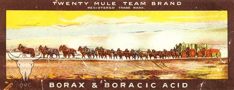 Borax 20 Mule Team Replica Wagons Death Valley Conservancy